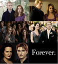 Forever-twilight-series-32783003-452-500