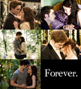 Forever-twilight-series-32783001-457-500